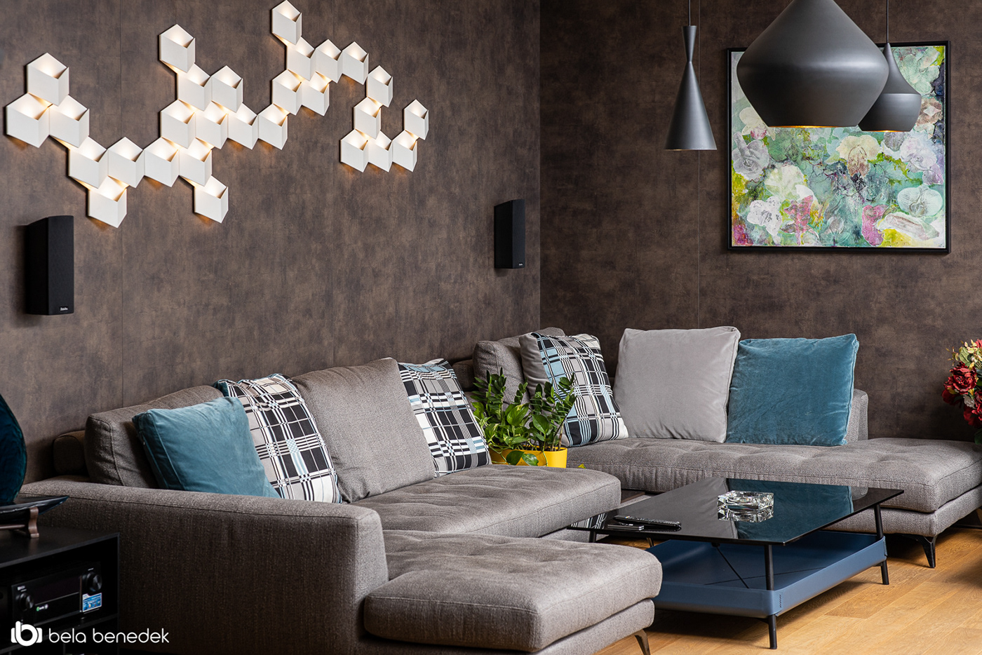 Stefan Vlad丨别墅建筑丨House X-43