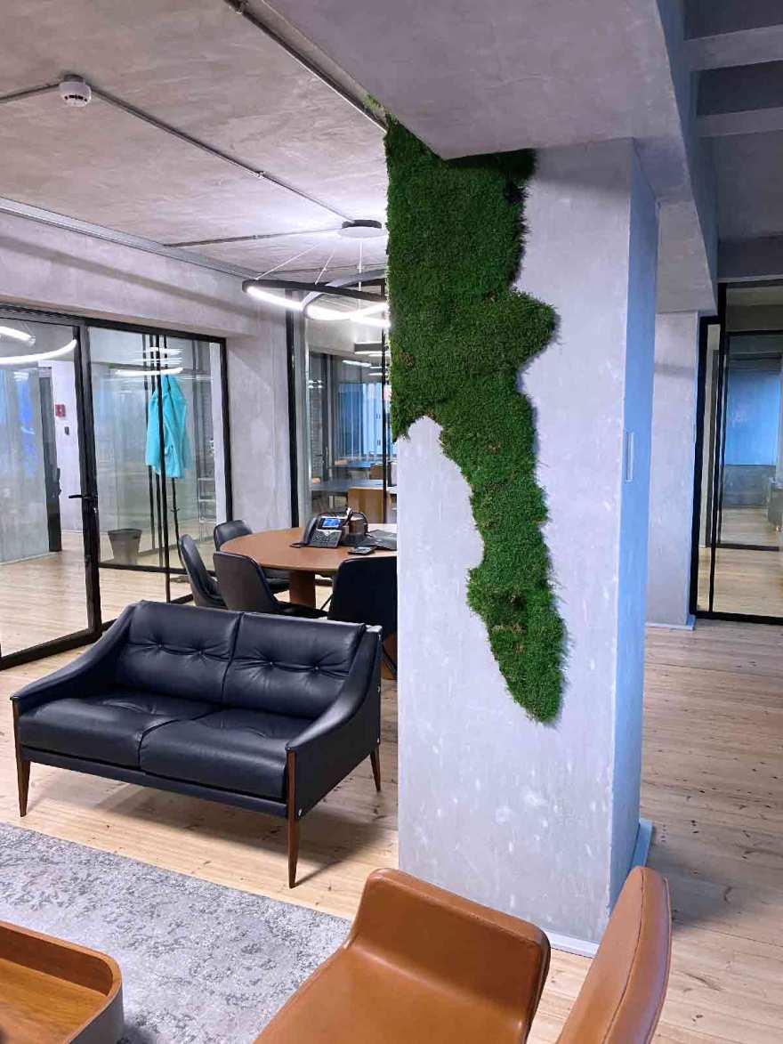 皇家松树与垂直花园的绿色办公空间-7