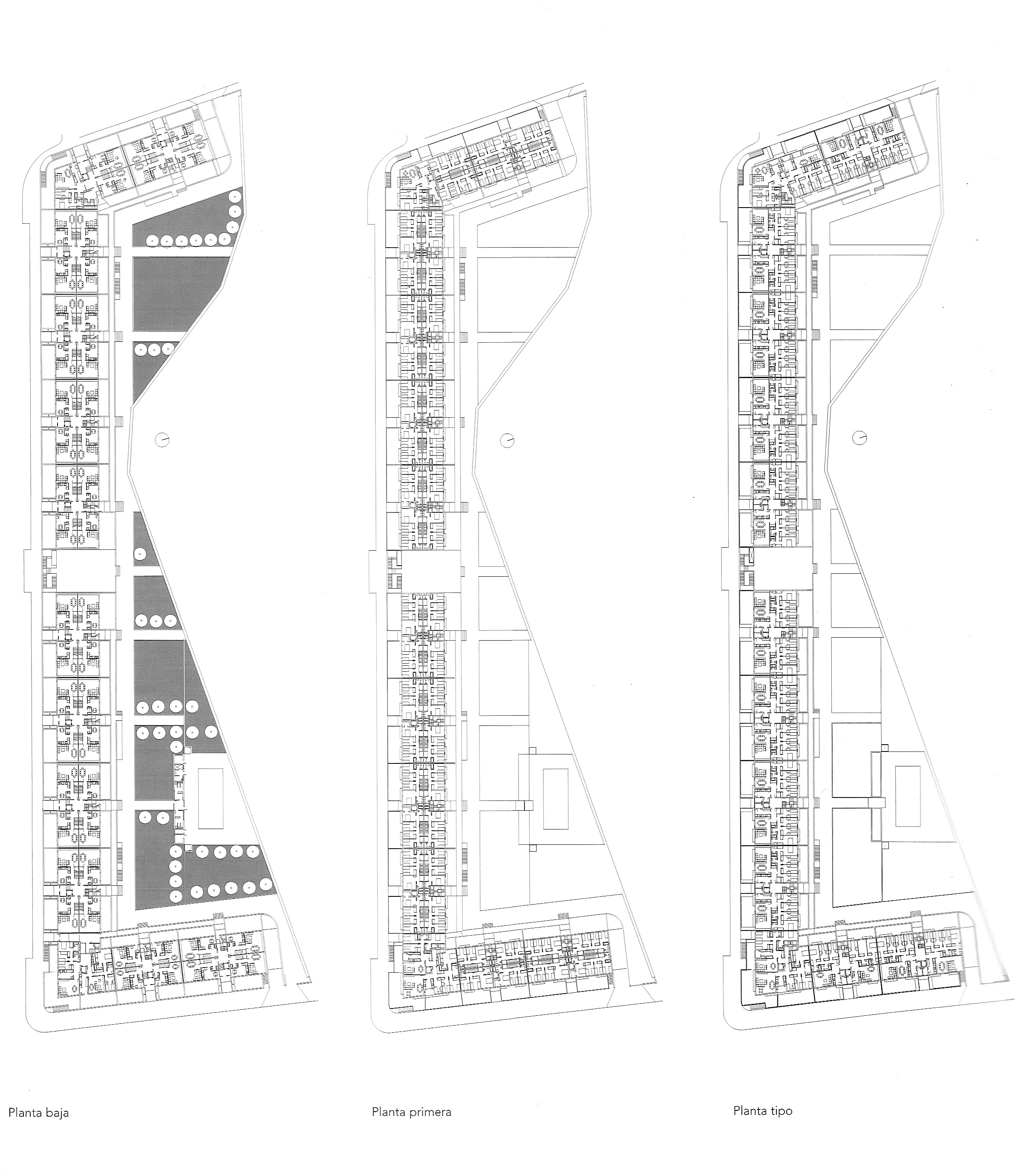 Alberich-Rodríguez Arquitectos 打造功能性家庭公寓-15