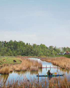 新地国家公园（Nieuw Land National Park）