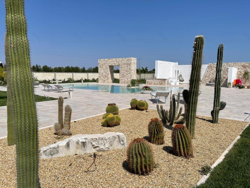 花园重塑 · 古宅私园的现代焕新-13