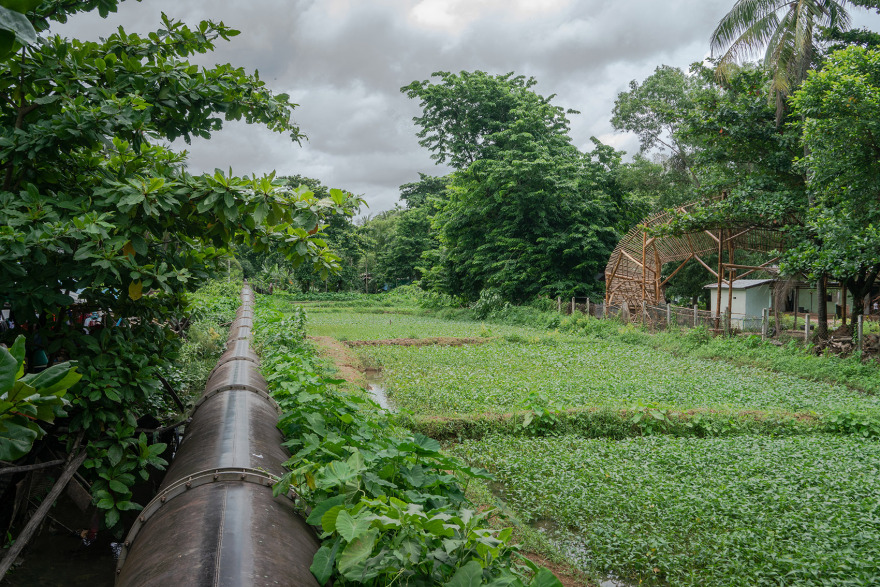 缅甸竹操场丨Blue Temple-3