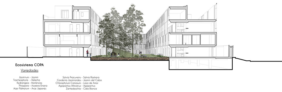 COPA 集合住宅丨阿根廷布宜诺斯艾利斯丨Ça Arquitectura-78