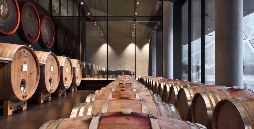 博尔扎诺新酒庄丨意大利丨Dell‘AgnoloKelderer 工作室-14