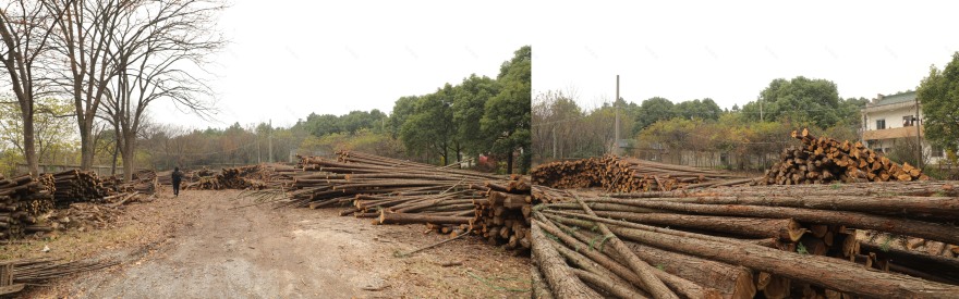 森林中的森林——溧阳杨湾游客中心-24