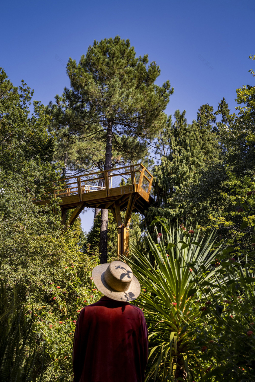 赛拉维斯公园树冠步道丨葡萄牙波尔图丨卡洛斯·卡斯塔涅拉建筑事务所-34