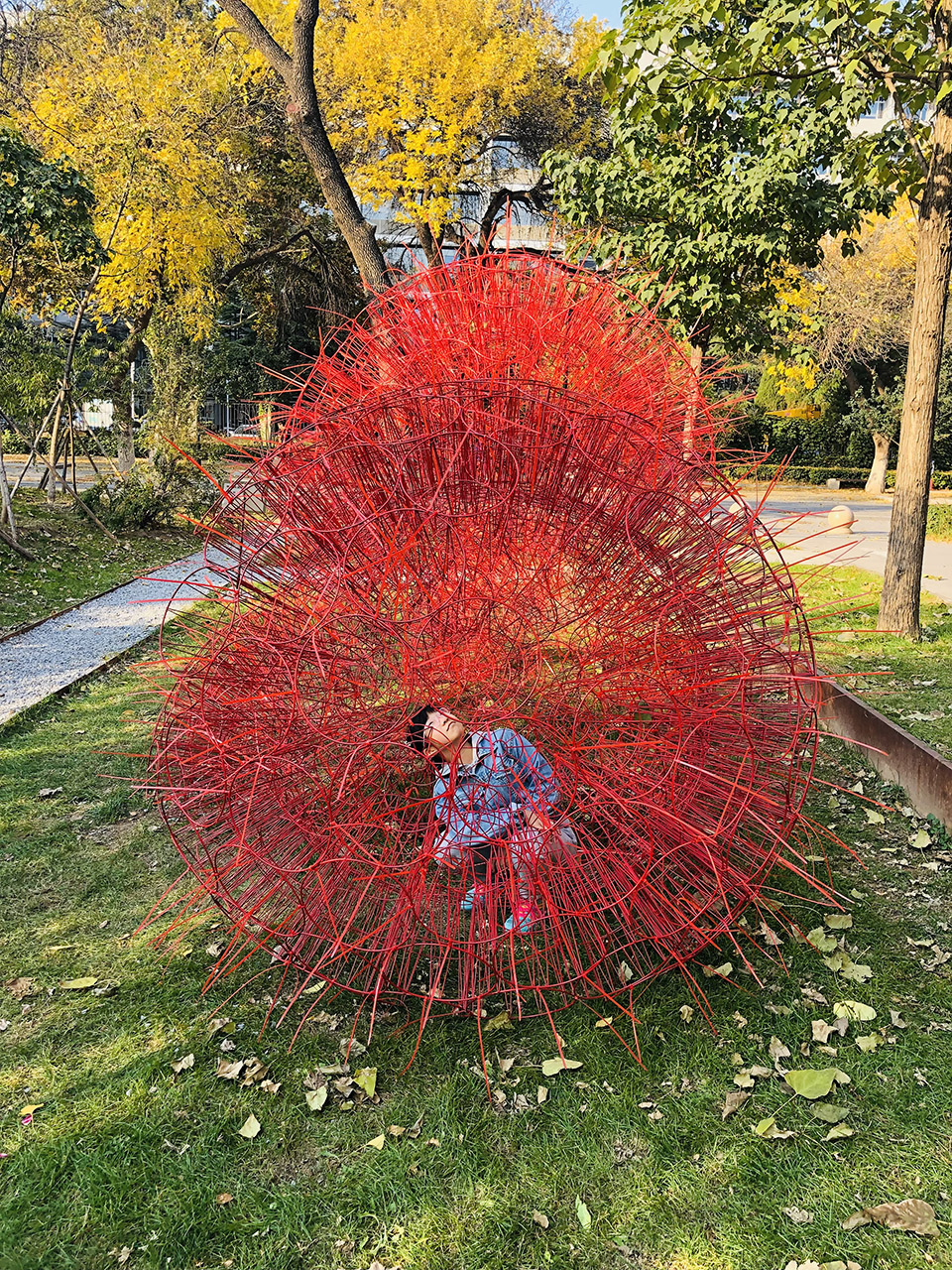 丹岩丨中国北京丨北京林业大学-91