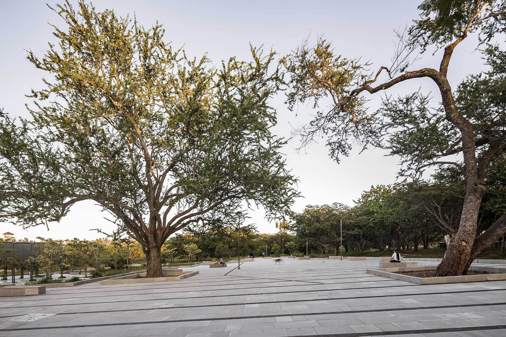 洪堤潭自然公园更新丨墨西哥瓜达拉哈拉丨SPRB arquitectos-50