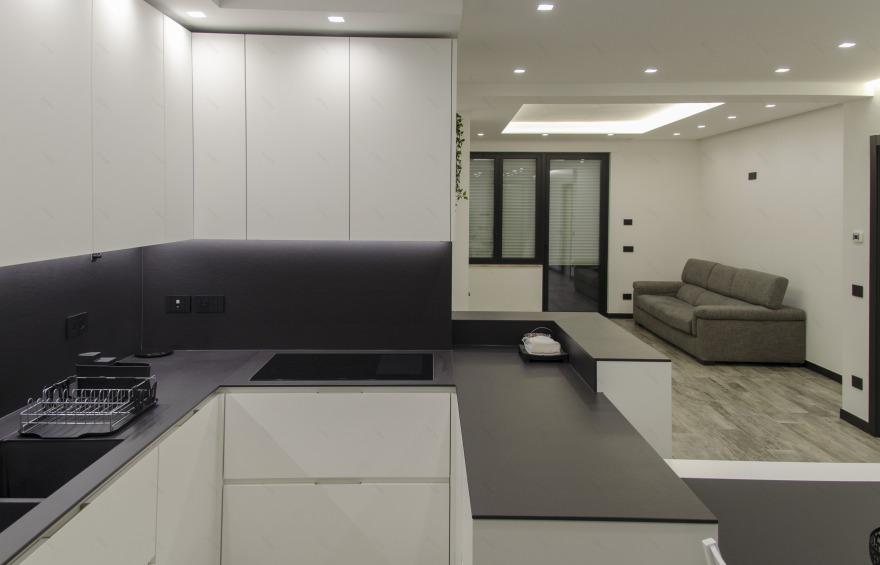 黑白风格公寓的节能环保设计-8