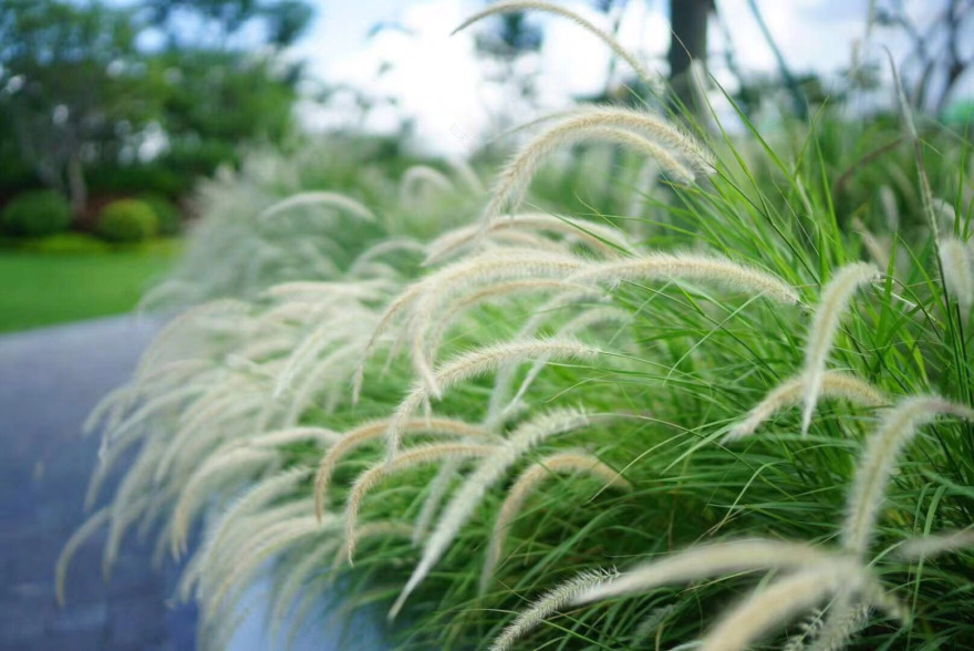 浅海时光里关于爱情的沉浸式体验空间丨中国三亚-17