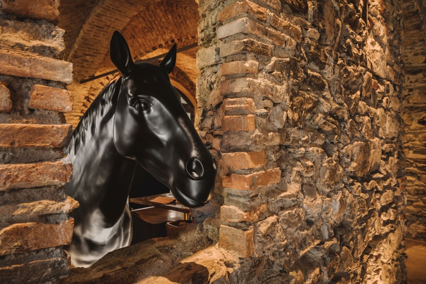 古堡魅影 · 创意餐厅“Il Diavolo E L' Acqua Santa”-5