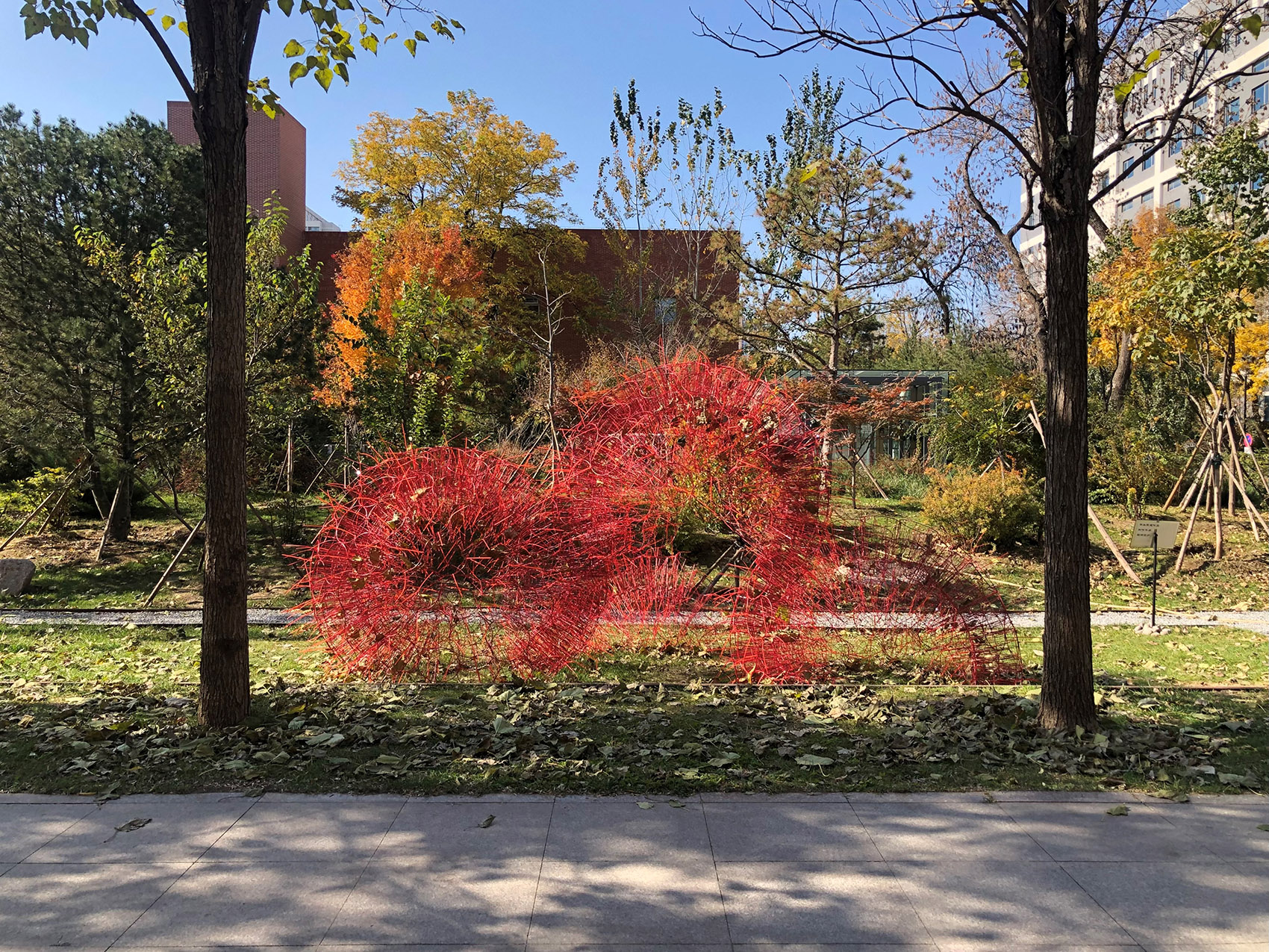 丹岩丨中国北京丨北京林业大学-87