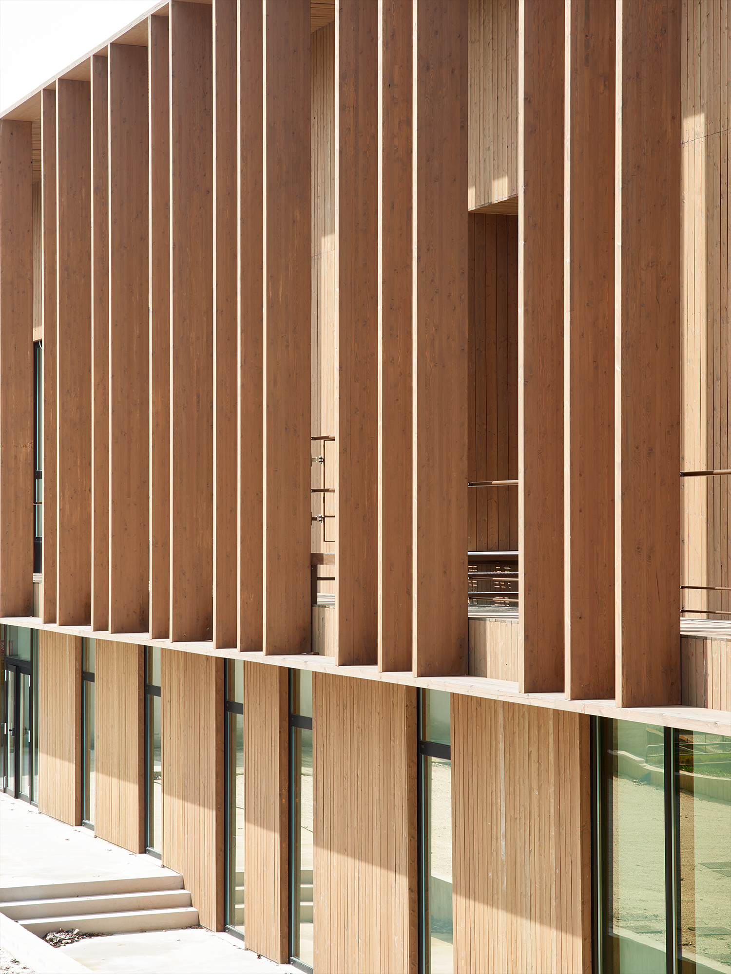 翁布里亚和马尔凯实验动物卫生研究所-5