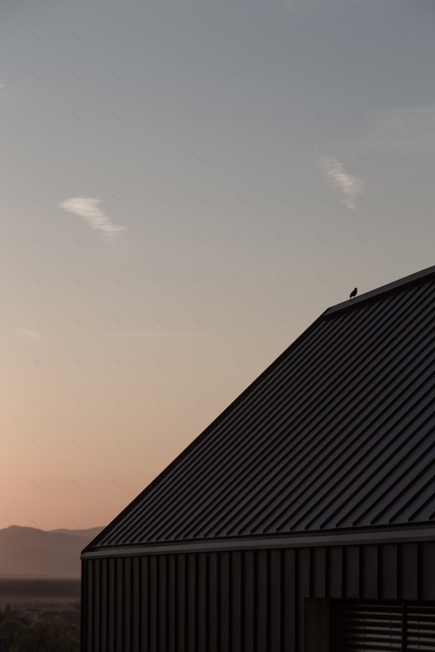 奥地利 LIA 别墅丨奥地利下奥地利-0