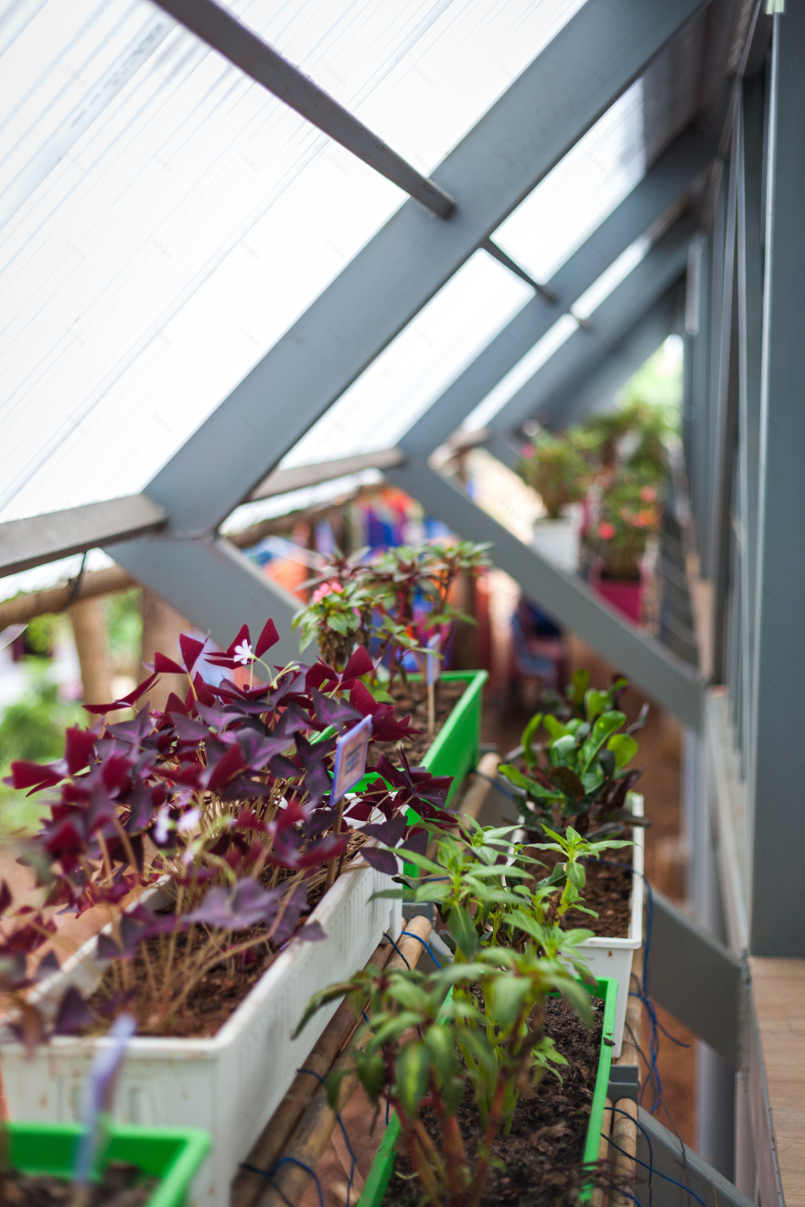 泰国震后重建的生态学校设计-26