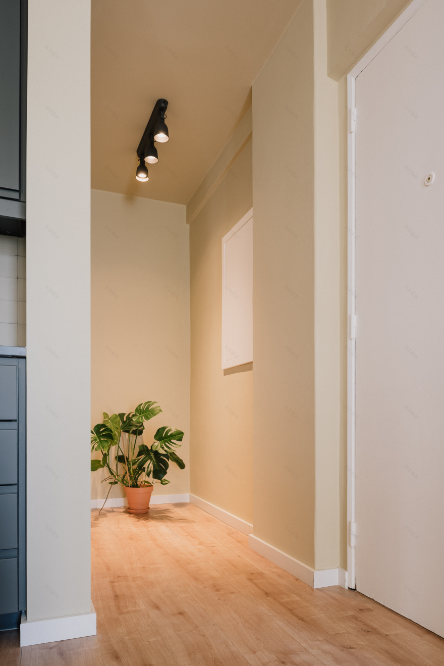 预算紧张的现代主义公寓改造-7