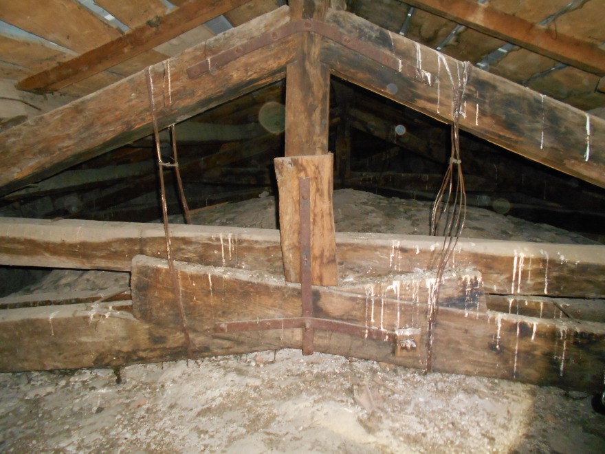 圣弗洛里塔教堂的地震修复-5