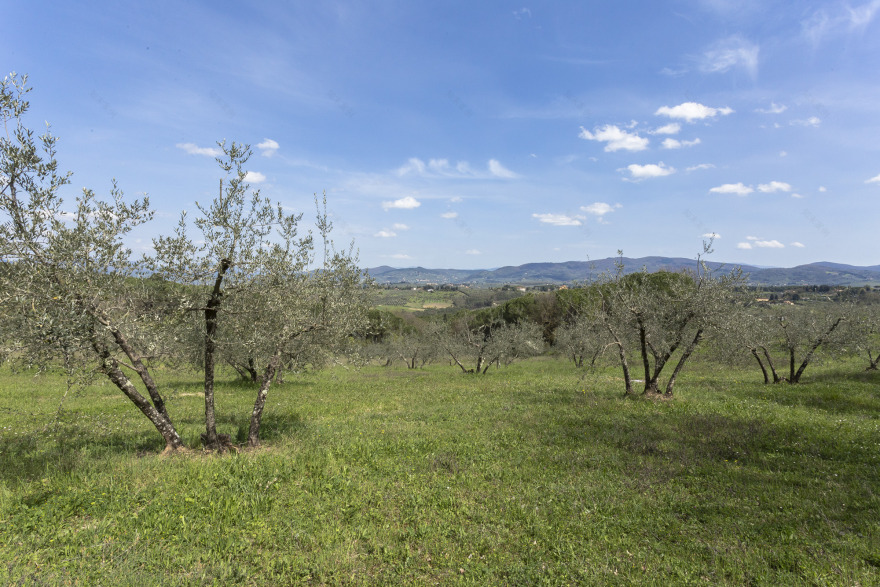 意式乡村之家 | 传统与现代的完美融合-24