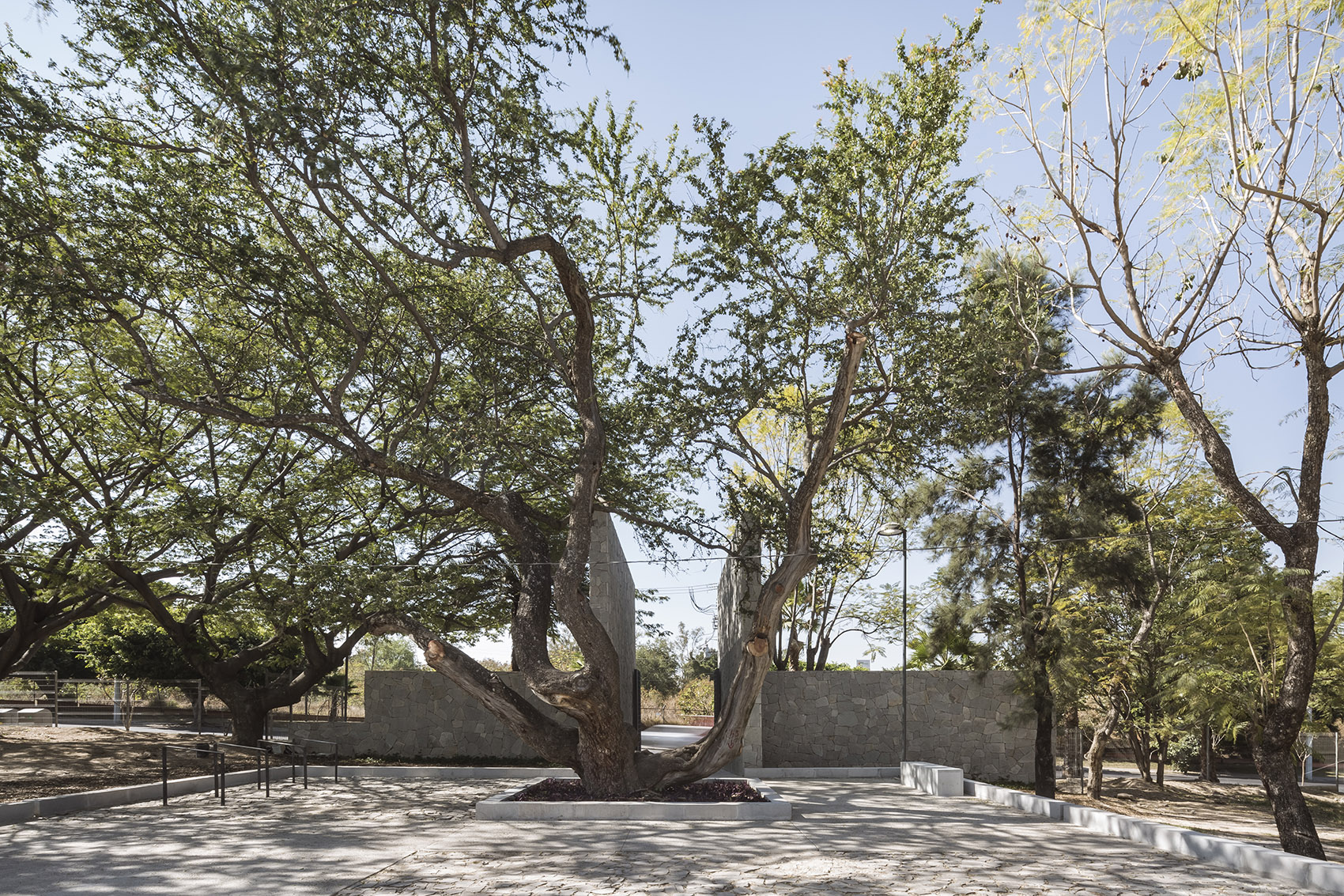 洪堤潭自然公园更新丨墨西哥瓜达拉哈拉丨SPRB arquitectos-12