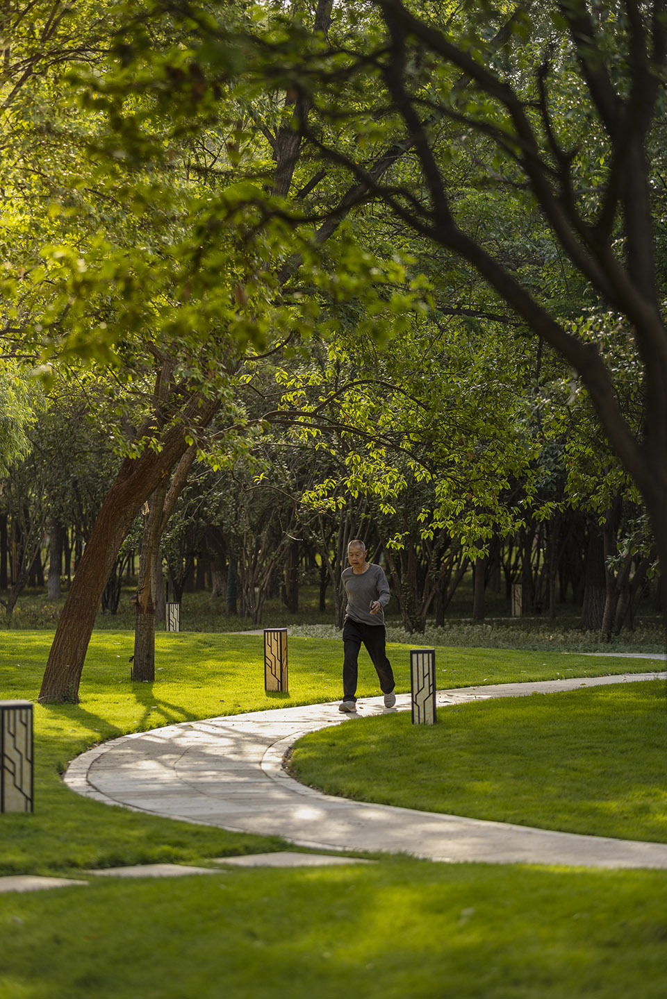 郑州古树苑公园一期景观提升，河南/老树的新生-98