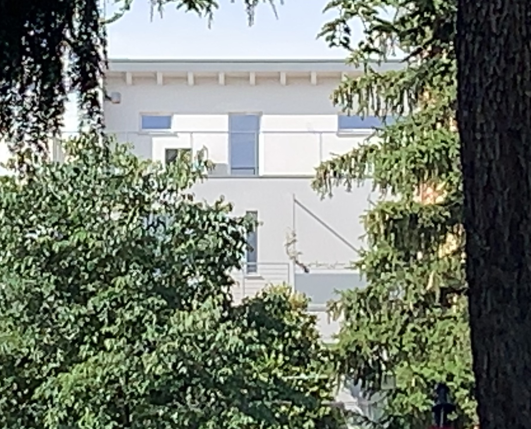 木结构增建，老建筑新生-5