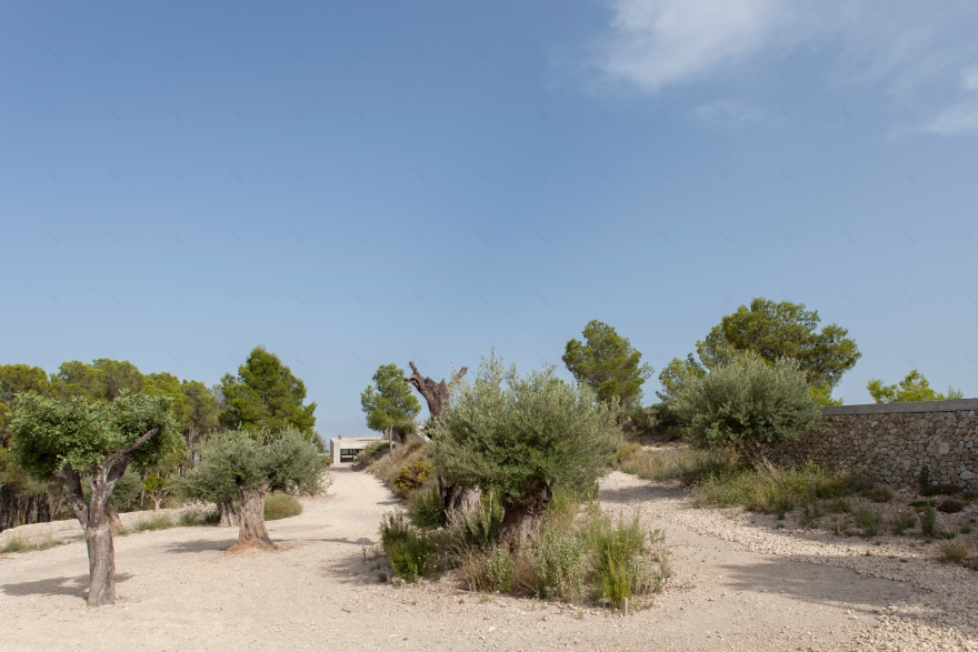 迈格莫山上的房子-17