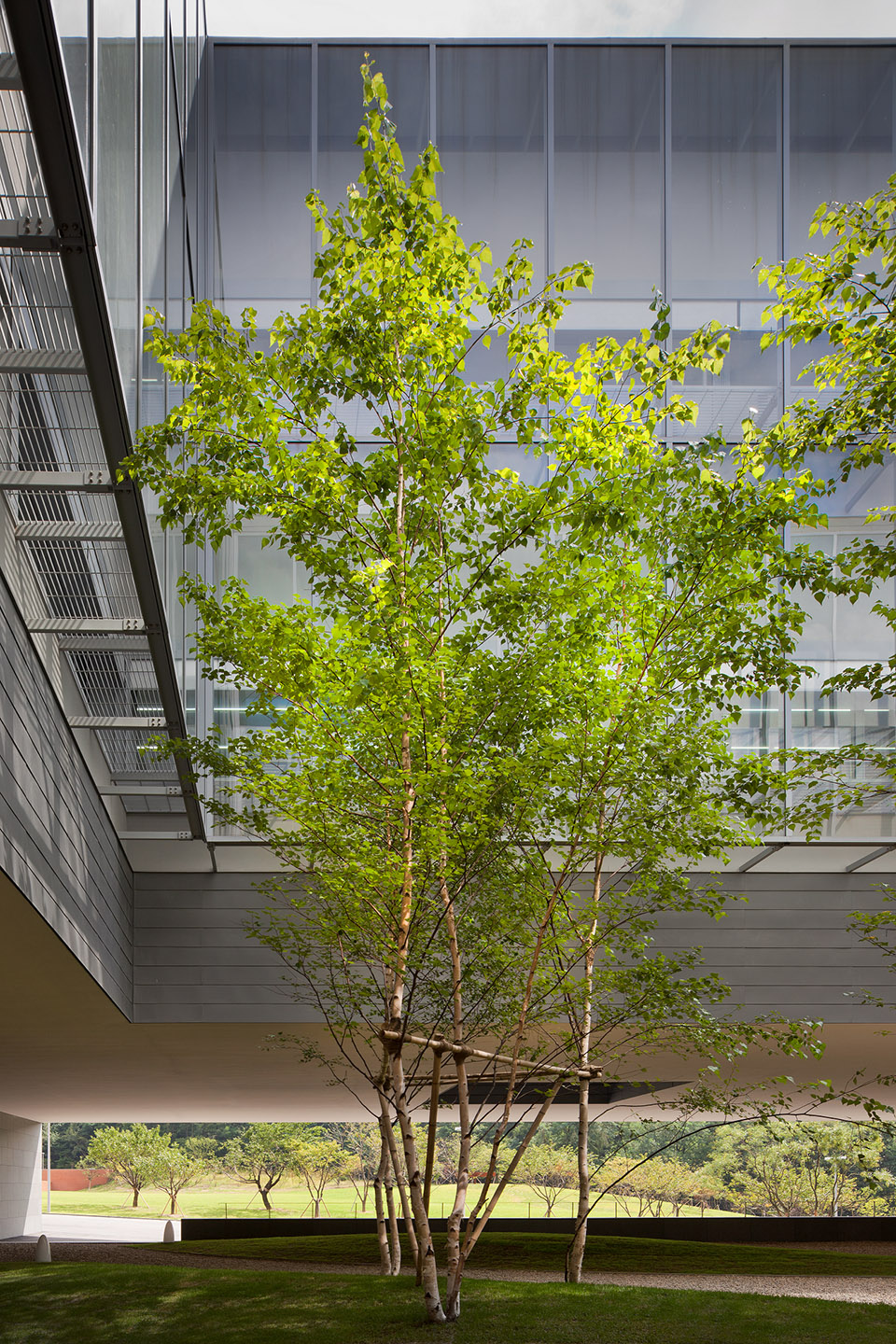 Amore Pacific 园区丨韩国龙仁市-20