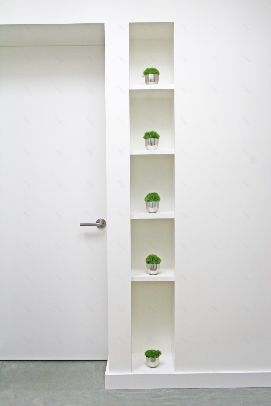 废墟中的现代桃花源 | 旧金山 Shotwell 住宅改造-10