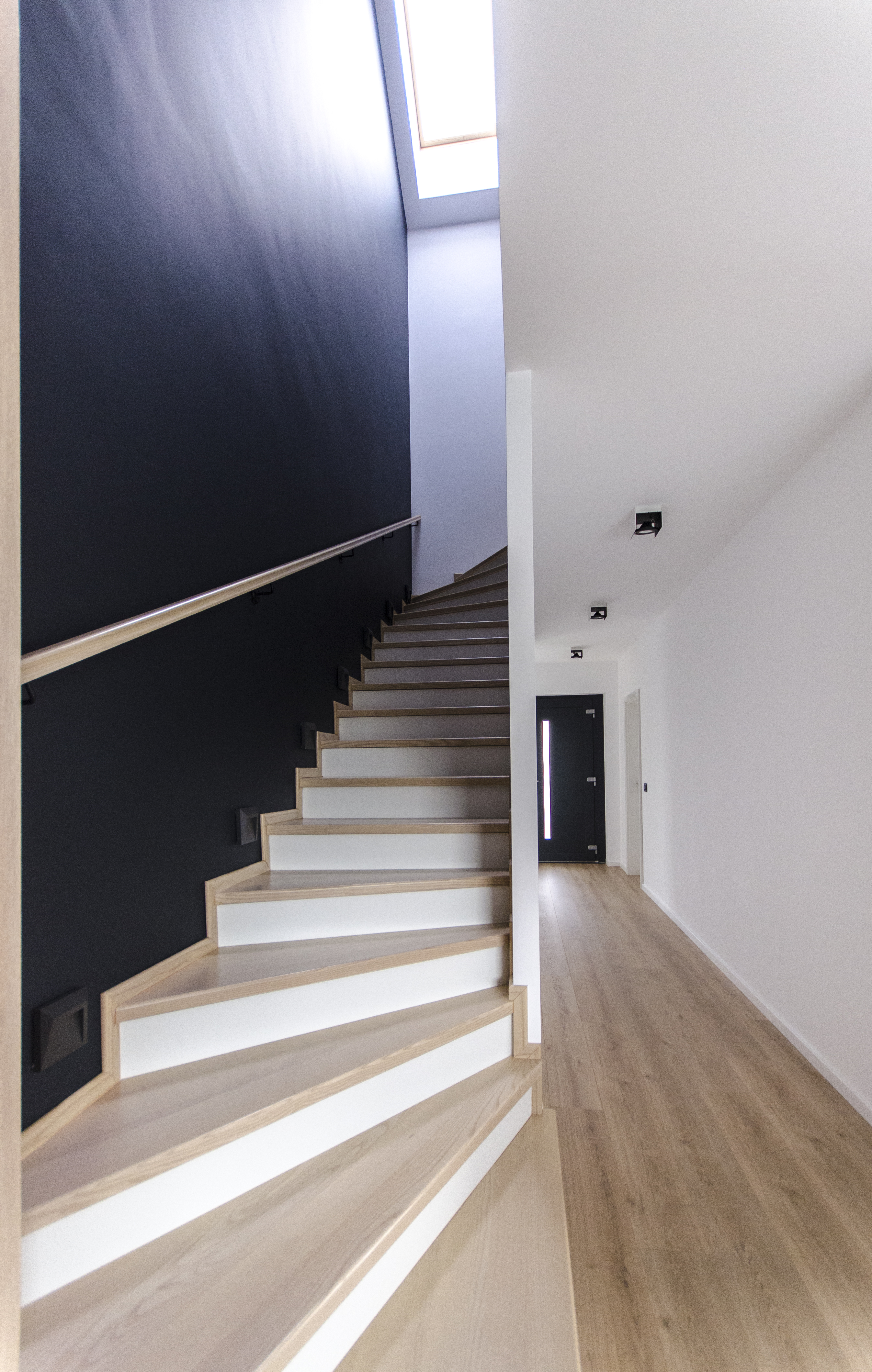 罗马尼亚 Timisoara 郊区别墅设计-7