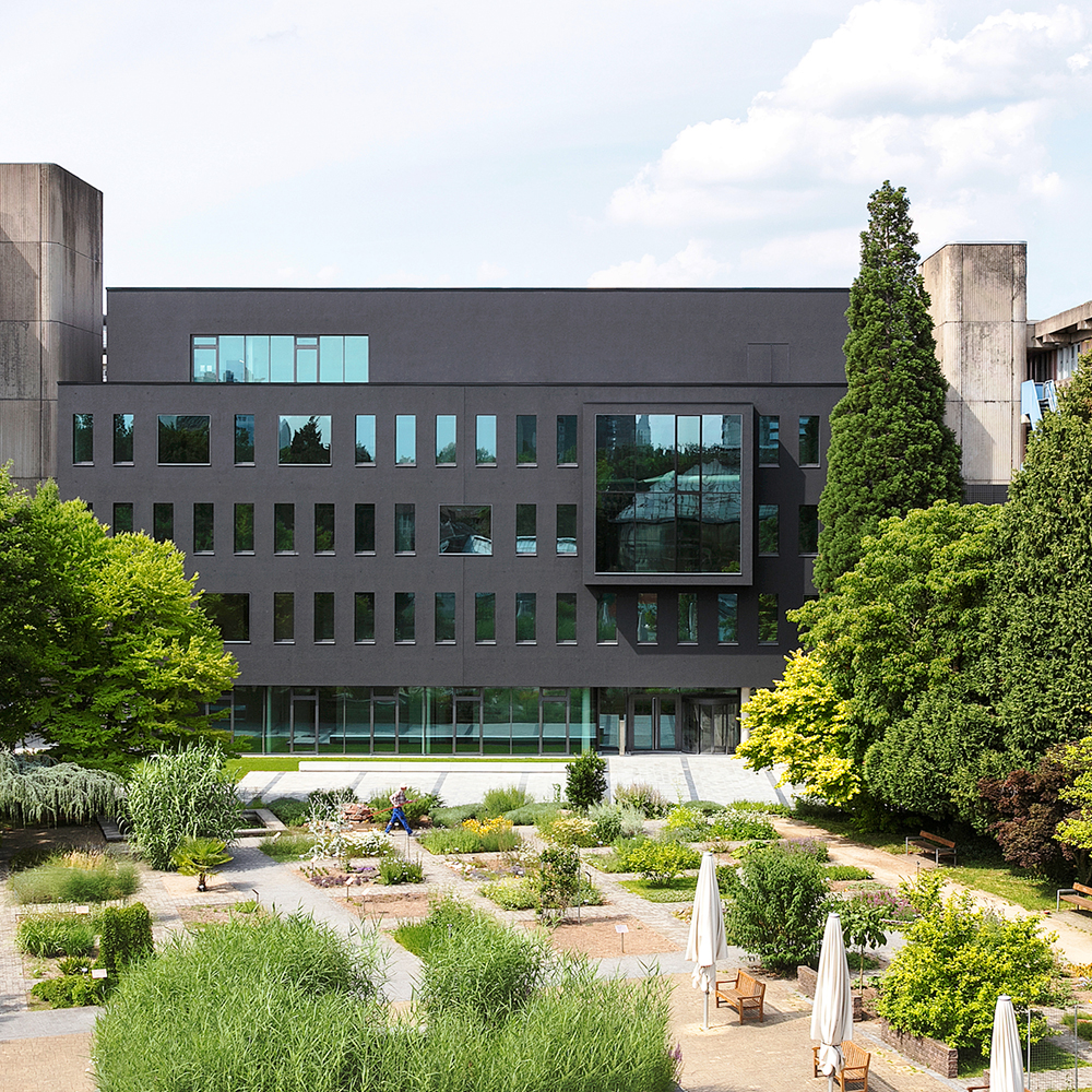 Centre for Integrative Infectious Disease Research (CIID) at Heidelberg University-1