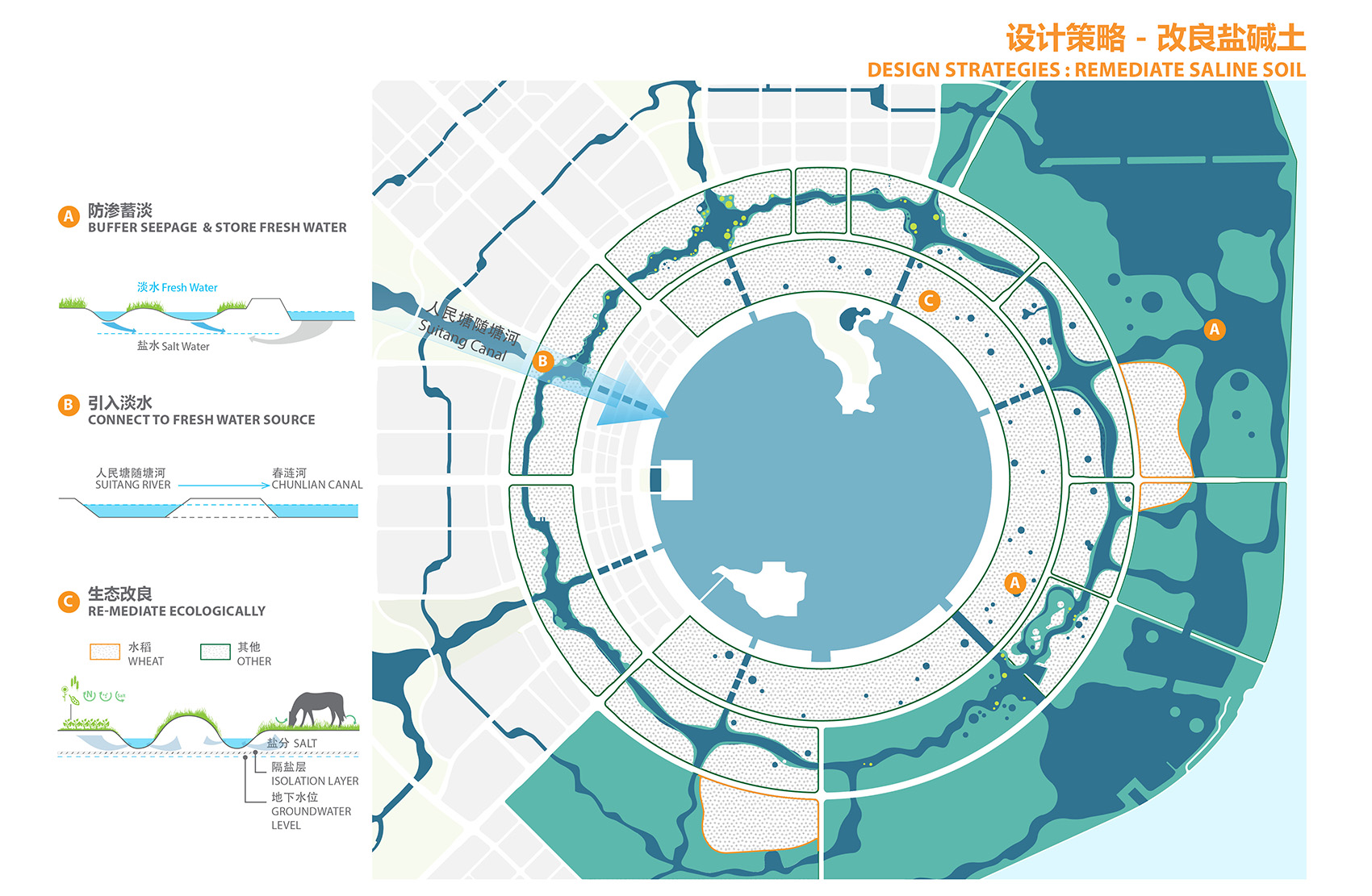 上海临港二环带公园 · 生态修复与休闲共生-30