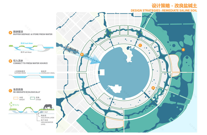 上海临港二环带公园 · 生态修复与休闲共生-30