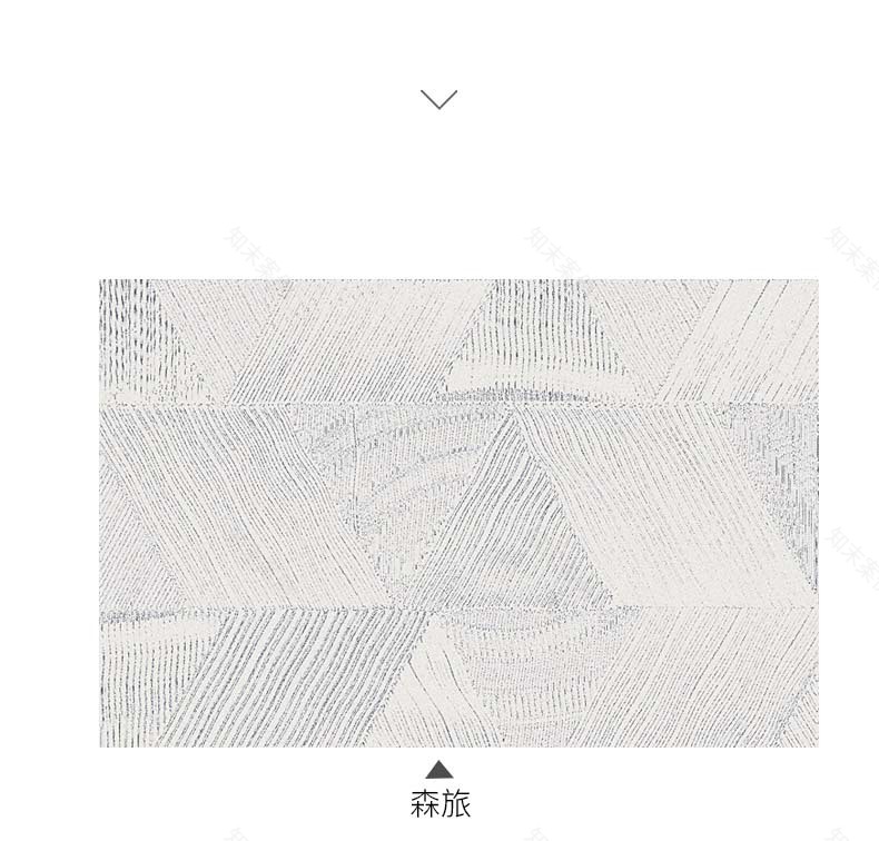 黑白调和的空间艺术——极简别墅设计-16