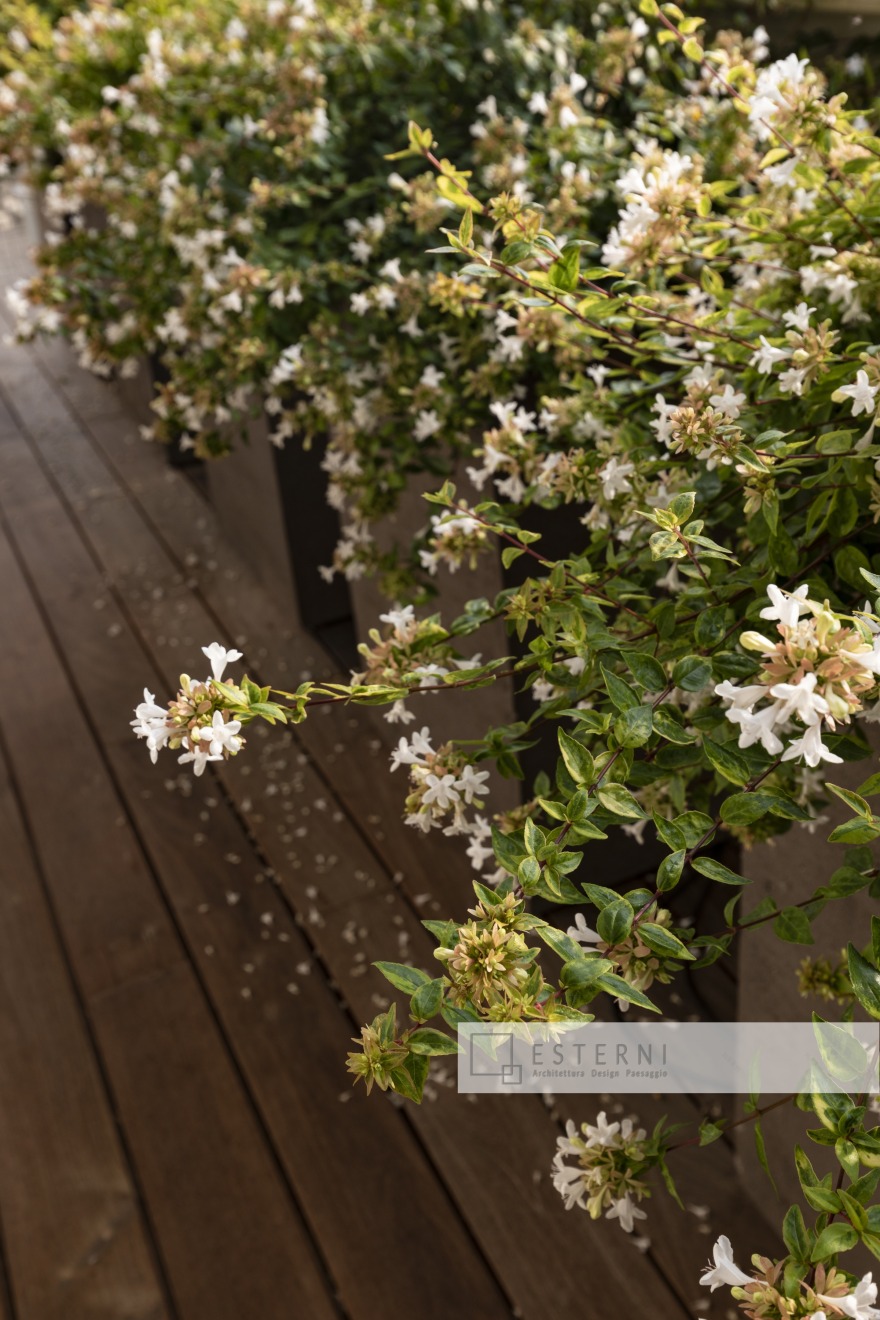 生态木阳台,全玻璃滑动面板,垂直绿墙,漂浮木地板-18