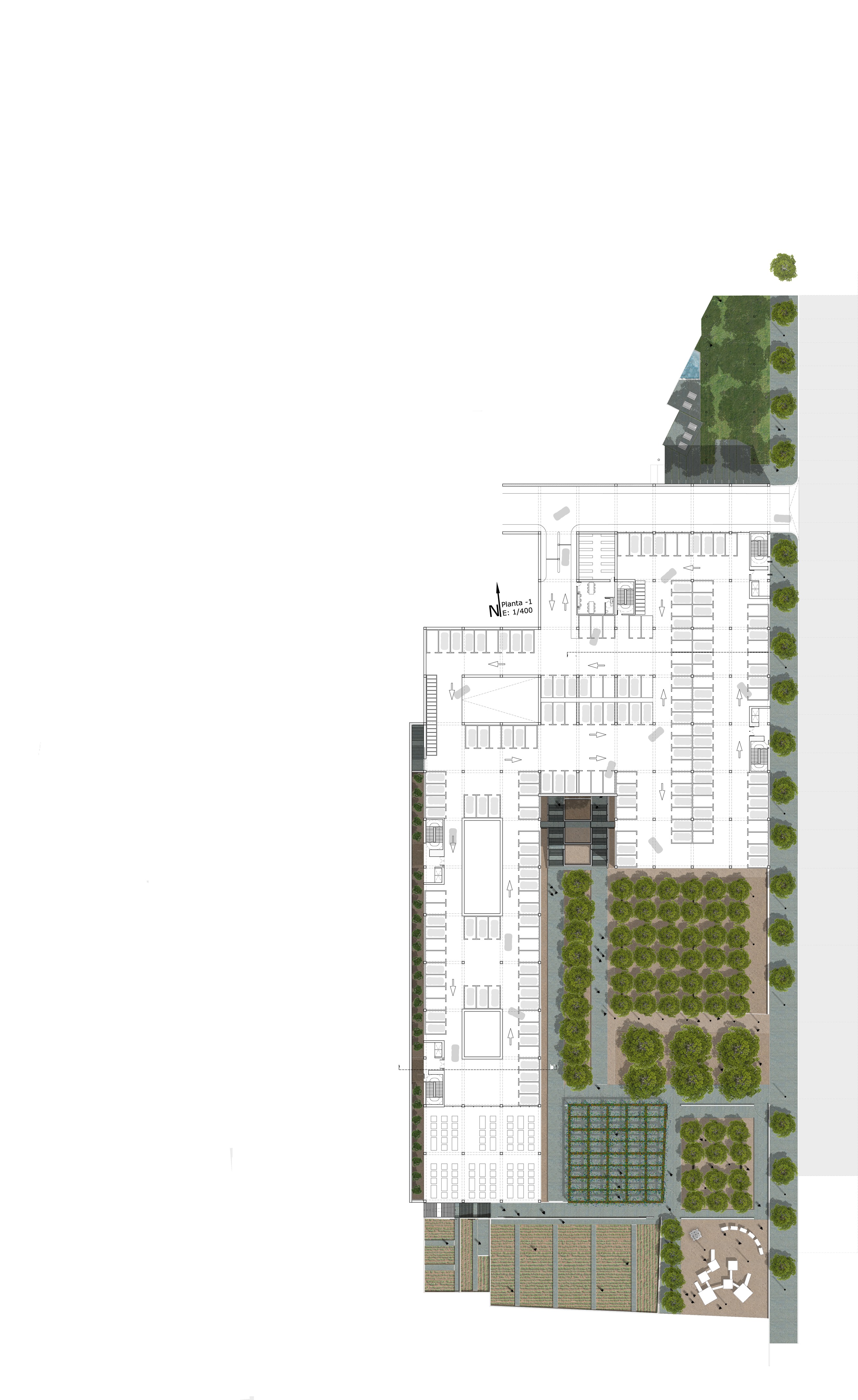 三庭院办公建筑 | 自然与城市的和谐交融-10