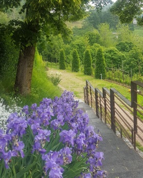 sistemazioni del 'verde', progettazioni esterni e giardini