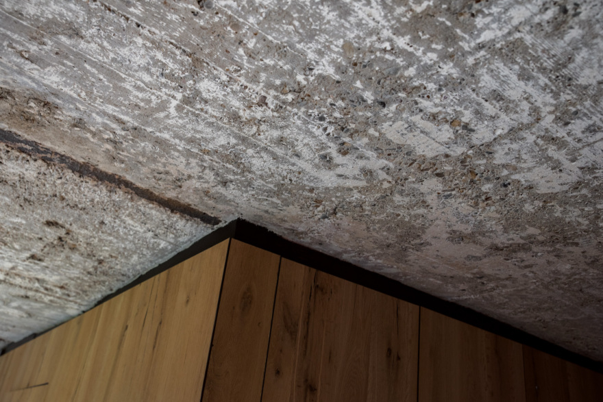 西里西亚之家(Ślonsko 小屋)-29