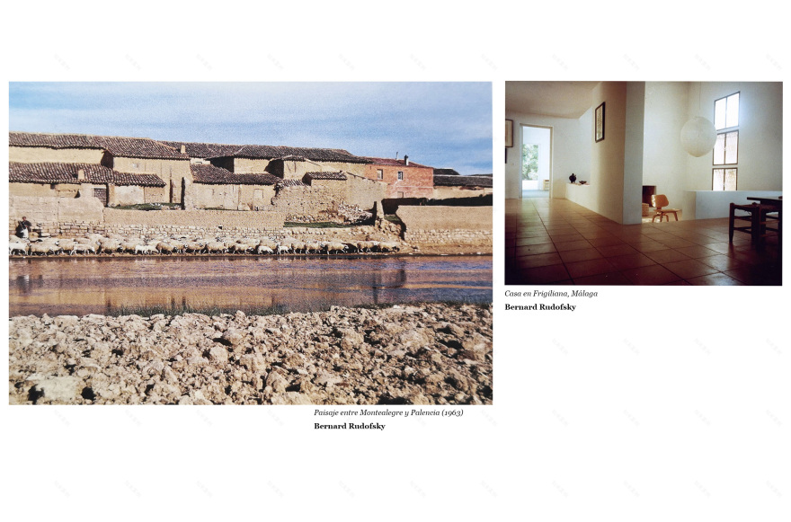 乡村别墅的生态与景观对话 | Casa Calixto-41