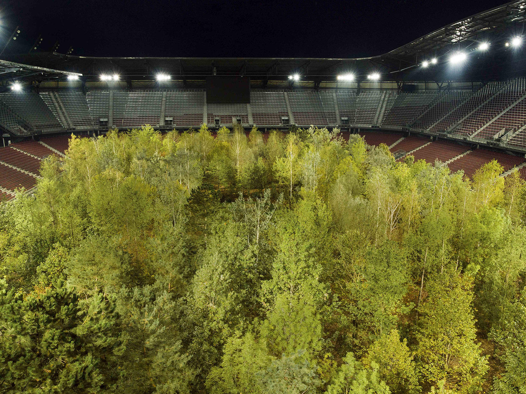 “致森林——自然不倦的魅力”展览，奥地利/足球场变身欧洲中部森林-23