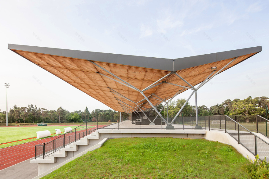 法国枫丹白露体育场看台 | 树状立柱营造开阔空间-3