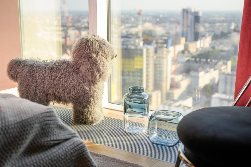 波兰华沙 ZŁOTA 44 绿色花卉公寓——现代、私密、舒适的设计典范-7