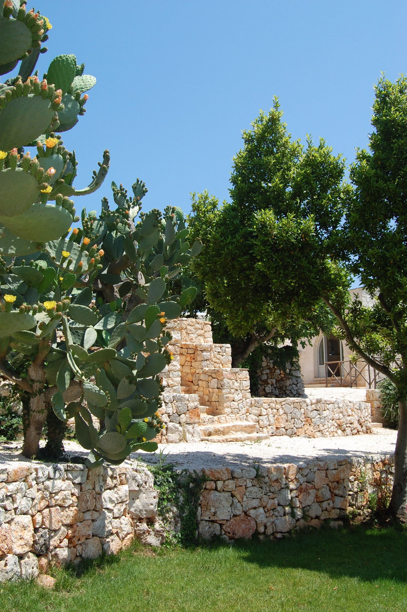 Masseria Cervarolo-27