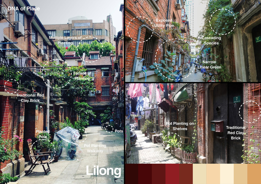 恒基·旭辉新天地The Roof丨中国上海-32