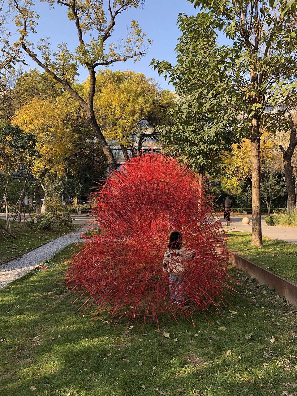 丹岩丨中国北京丨北京林业大学-92