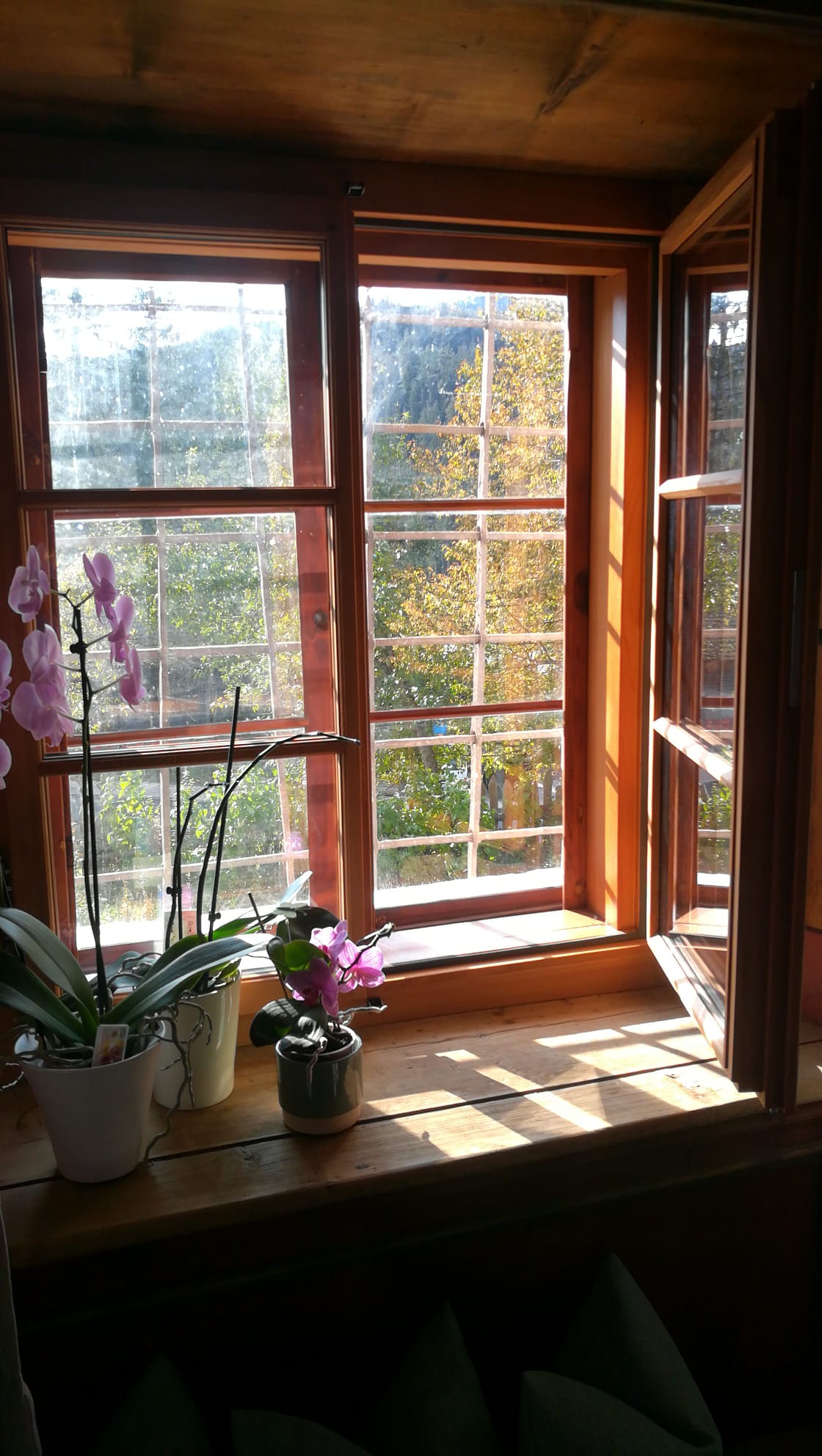 17 世纪历史古宅的现代重生-8