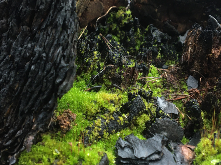 “呼唤希望”沉浸式装置丨奥地利维也纳丨Superflux设计工作室-44