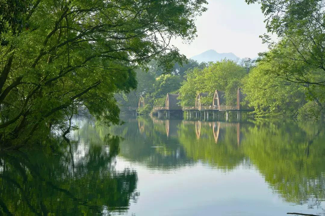 富春开元芳草地乡村度假酒店-88