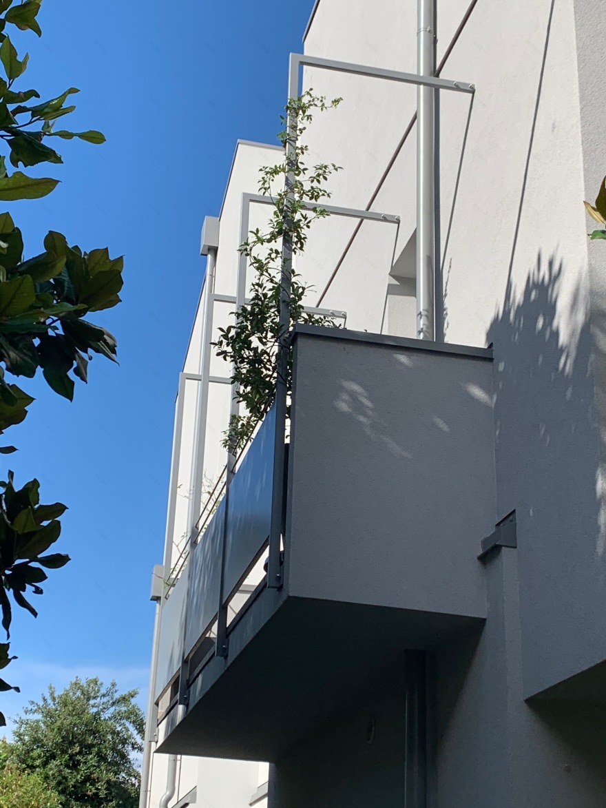 木结构增建,老建筑新生-6