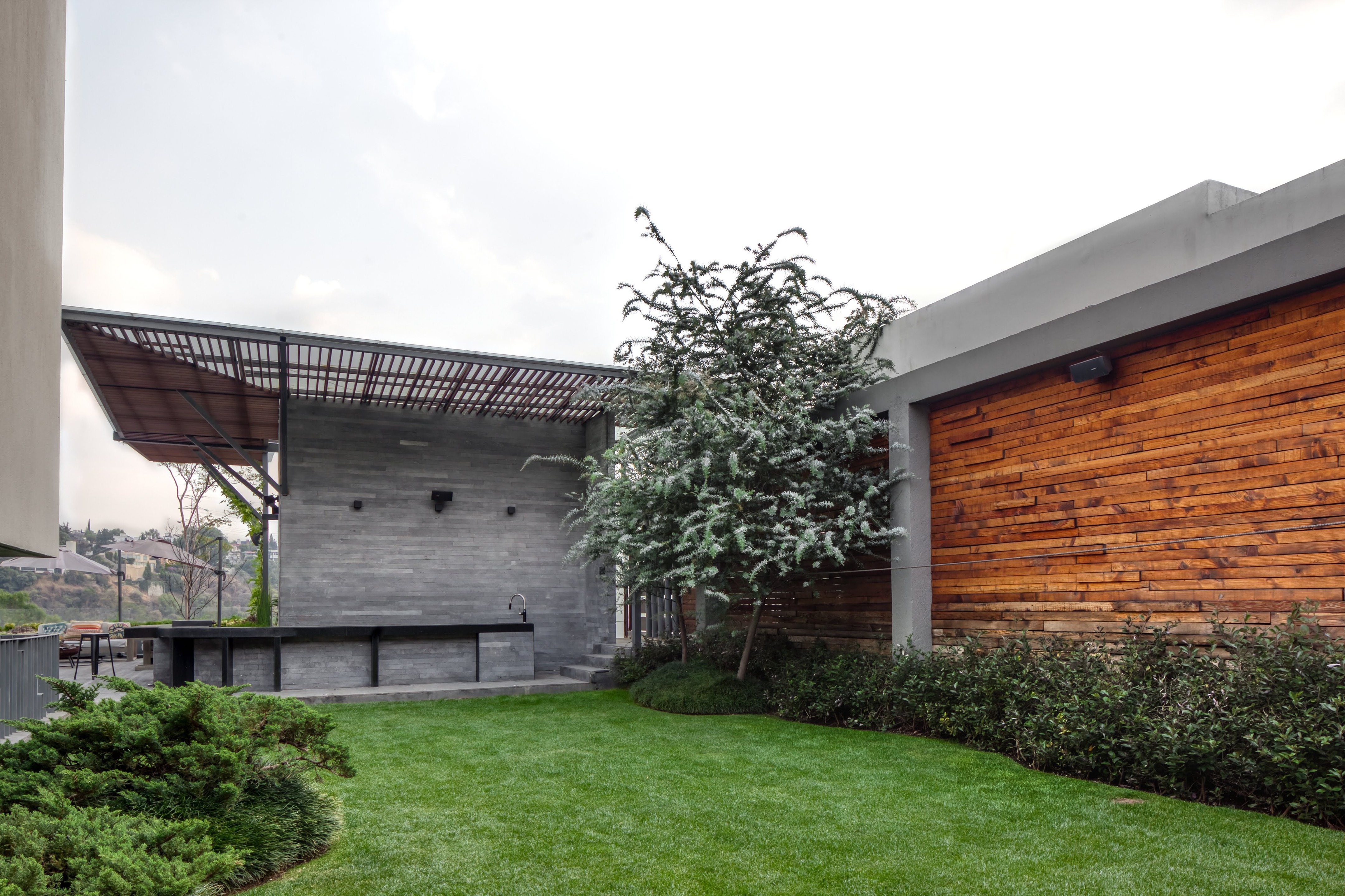 墨西哥 Casa Espejo Verde 垂直花园丨Daniel Gómez Bilbao-5