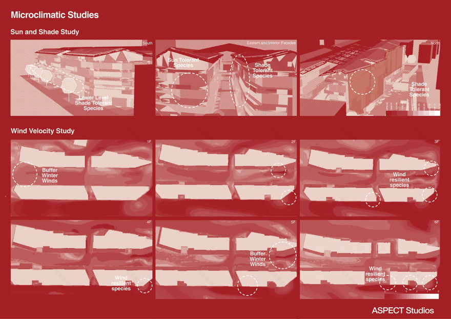 恒基·旭辉新天地The Roof丨中国上海-71